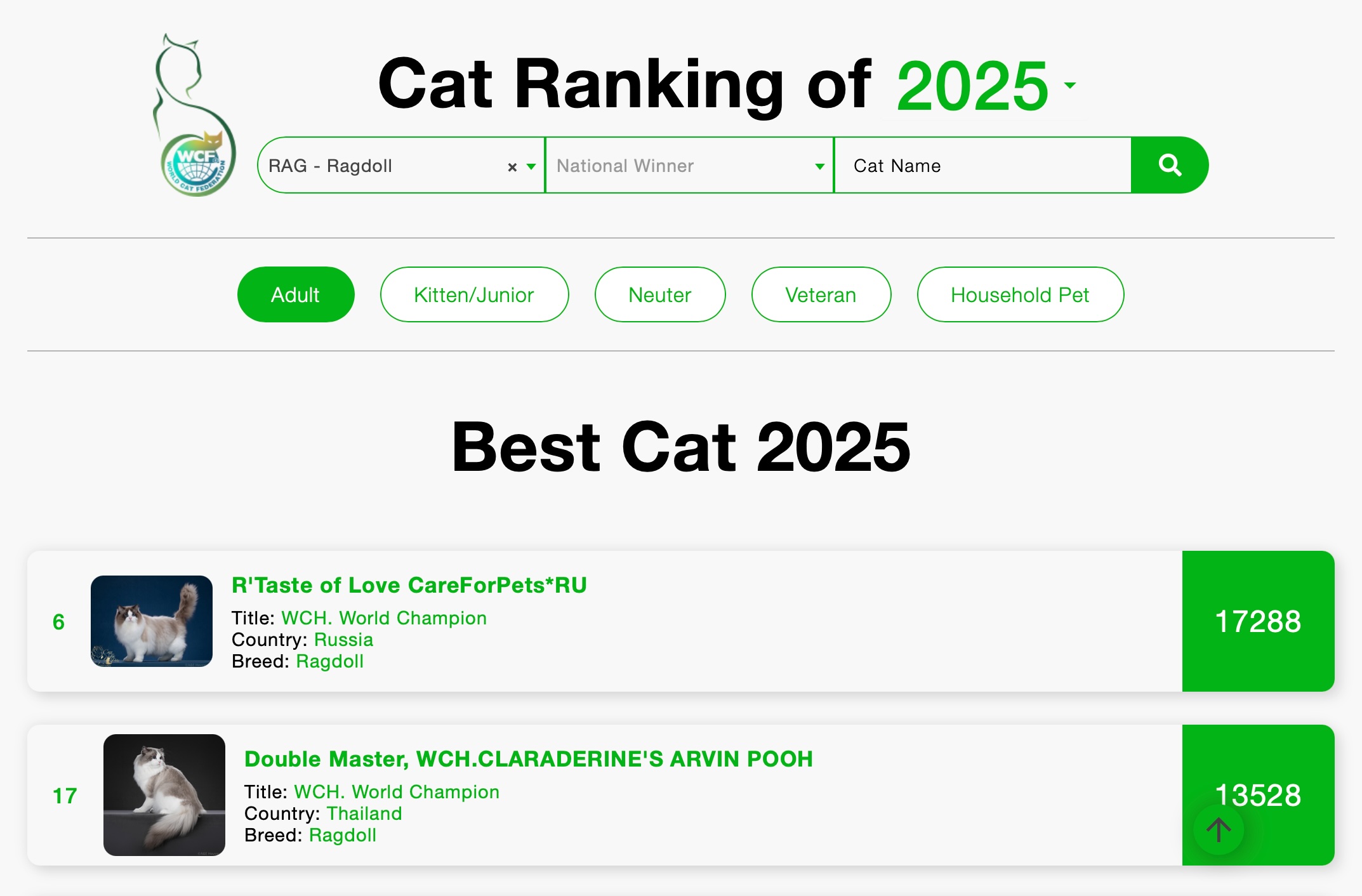Best adult ragdolls 2025